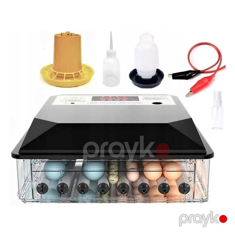 İnkubator 5501 100 Vt — Mallar, Bakı (3)