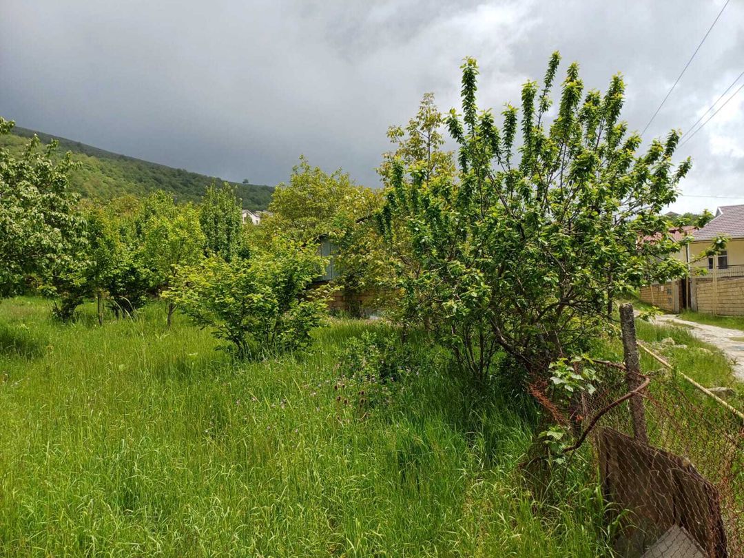 Satılır torpaq 12 sot — Torpaq, Şamaxı (3)