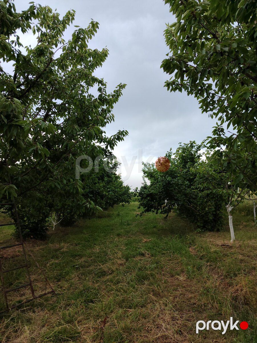 10 sot torpaq sahəsi, Xaçmaz r — Torpaq, Xaçmaz (4)