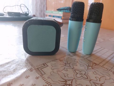 İki mikrafonlu mini karaoke dəsti - Dəst: 1 ədəd portativ Bluetooth — Bakı