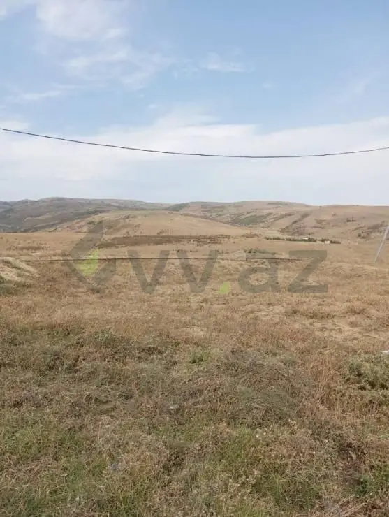 6 sot Torpaq Satılır, Şamaxı — Torpaq, Şamaxı (4)