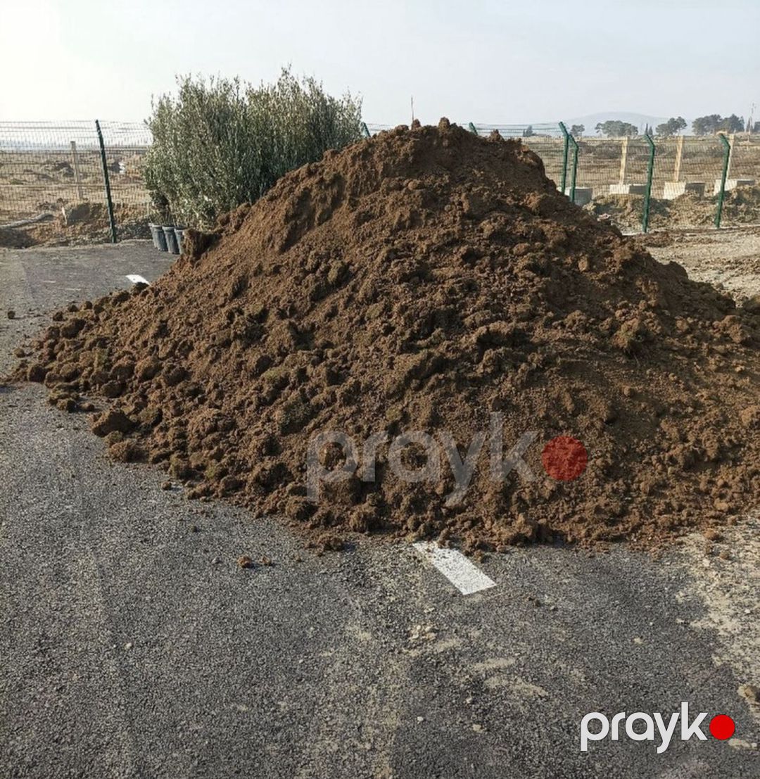 Qara torpaq — Dacha və bağ, Bakı (3)