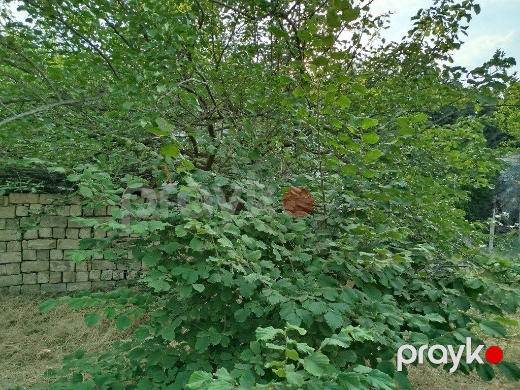 Satılır torpaq 10 sot — Torpaq, Bakı (9)