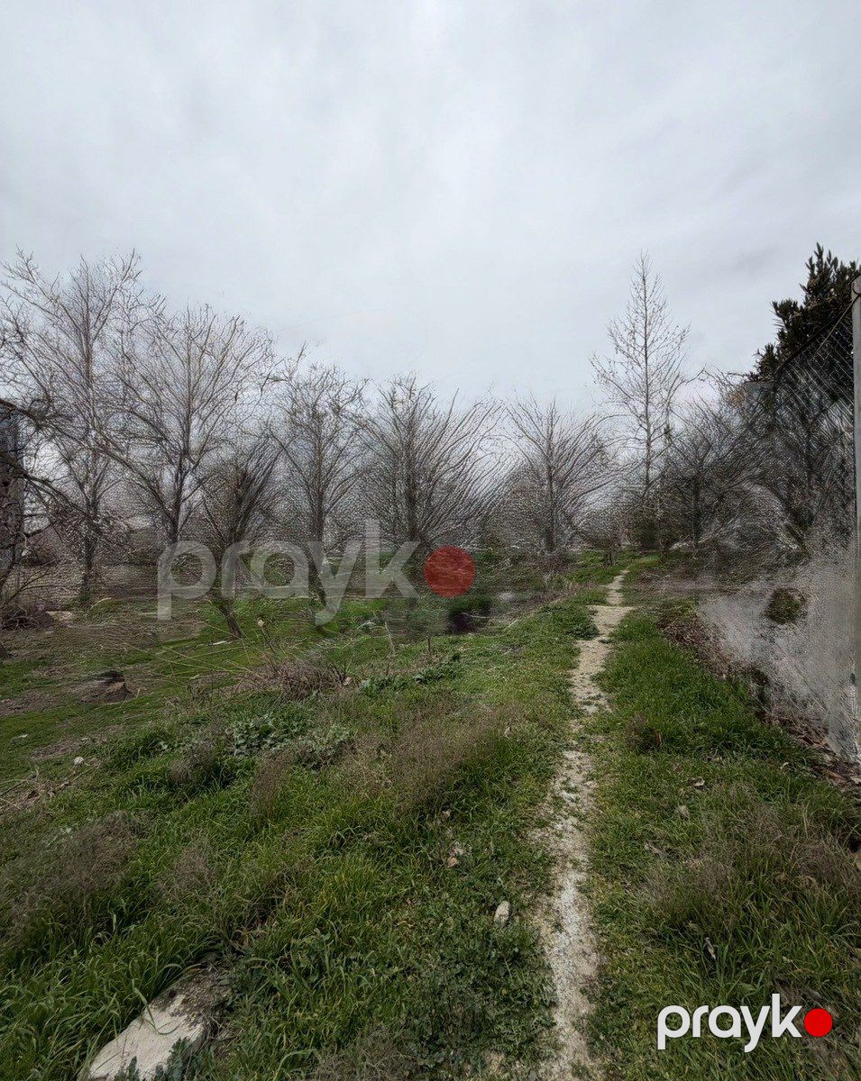 Satılır torpaq 290 sot — Torpaq, Bakı (3)