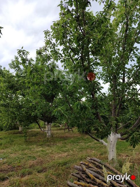 10 sot torpaq sahəsi, Xaçmaz r — Xaçmaz