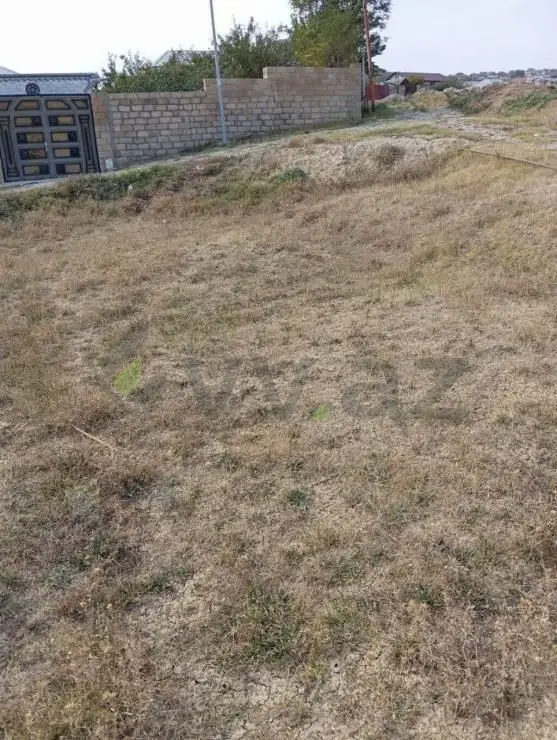 6 sot Torpaq Satılır, Şamaxı — Torpaq, Şamaxı (5)