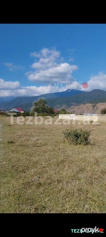 Səki səhəri 121 kvartal — Torpaq, Şəki (5)