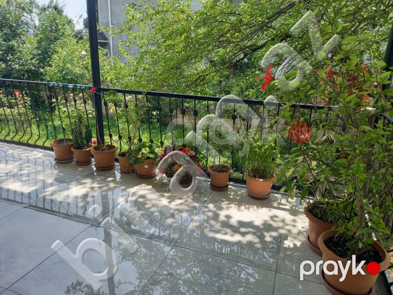 3 otaqlı Bağ evləri, Kirayə (gündəlik), Şəki — Ev, villa, Şəki (6)