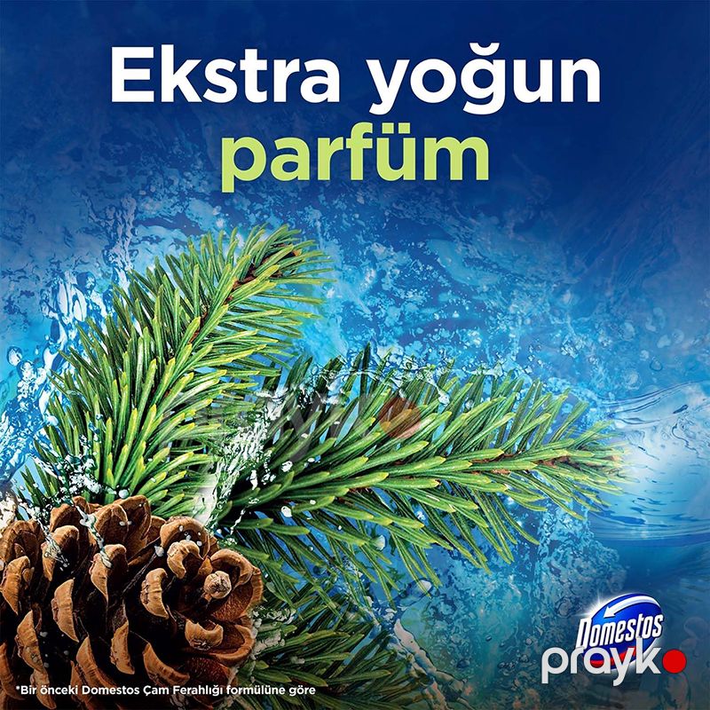 Domestos Wc Blok 50 Gr Cam Ferah Çam Ferahlığı Tuvalet Bloğu Domestos 5li Çam Ferahlığı Maksimum Hijyen — Mallar, Bakı (6)