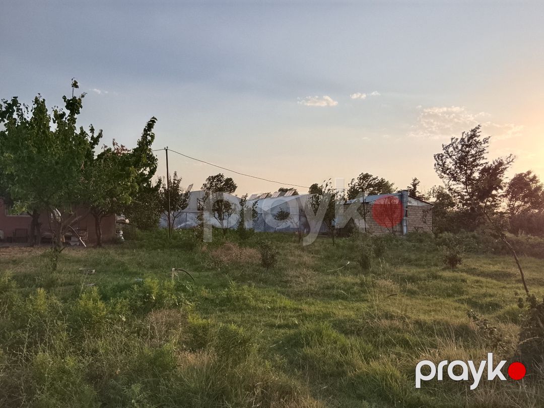 600 sot torpaq sahəsi, Şabran r — Torpaq, Şabran (11)
