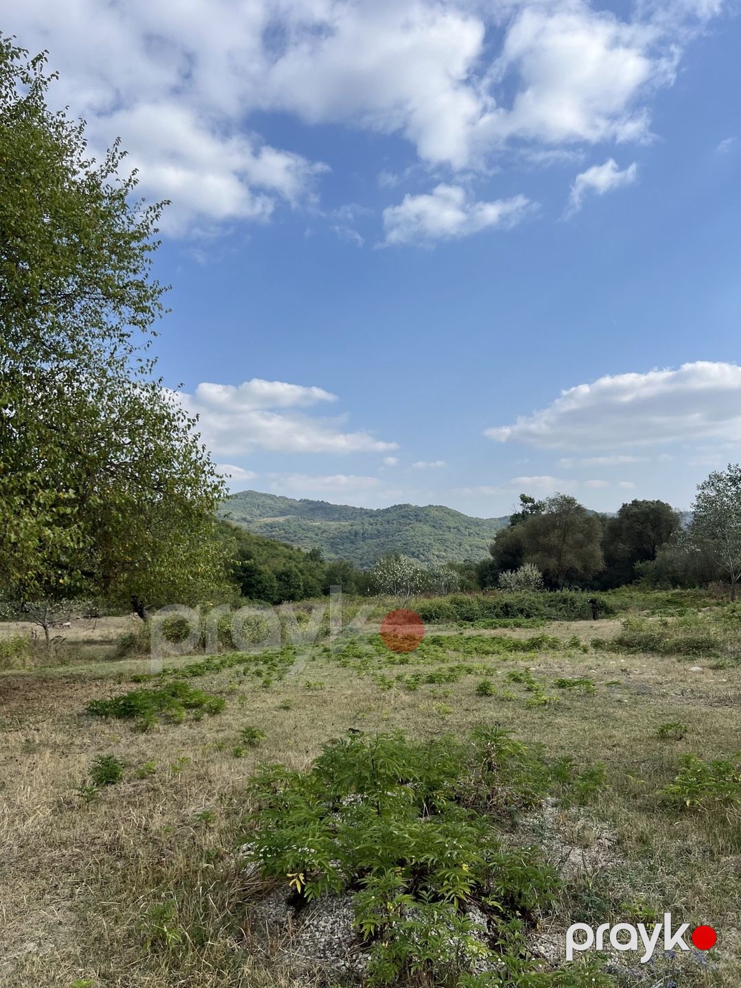 Satılır torpaq 10.5 sot — Torpaq, Şamaxı (4)