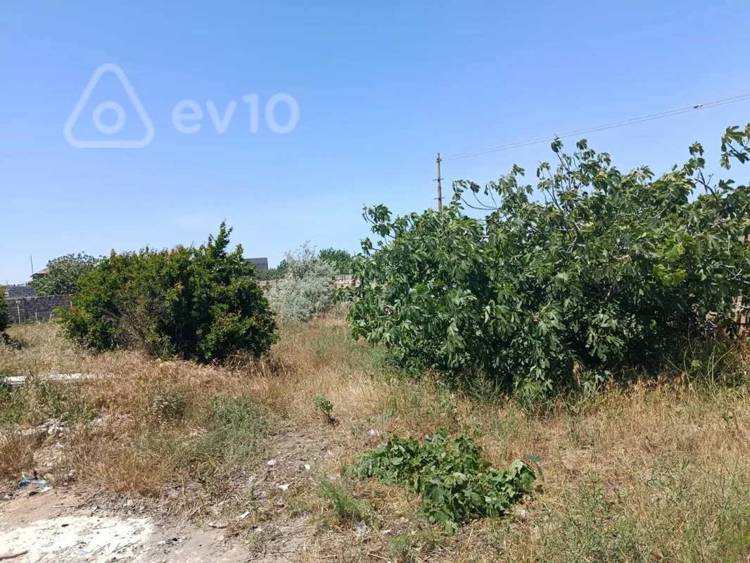 Torpaq sahəsi, 19.5 sot, Bakı, Nardaran qəsəbəsi Hacı Zeynalabdin Tagıyev küçəsi, giriş 213 — Bakı