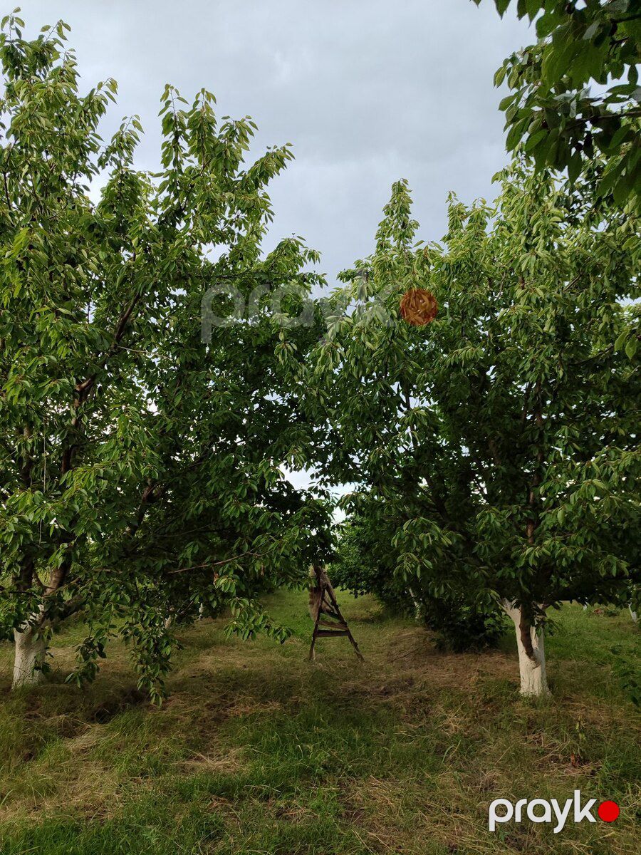 10 sot torpaq sahəsi, Xaçmaz r — Torpaq, Xaçmaz (3)
