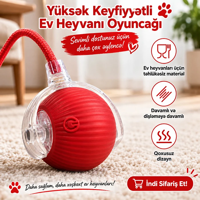 Pişik və İtlər üçün Ağıllı İnteraktiv Oyuncaq — Mallar, Bakı (4)