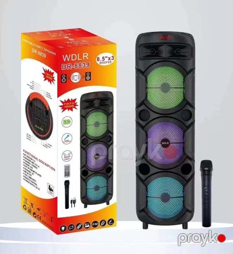Karoke mikrofonlu bluetooth dinamik — Bakı