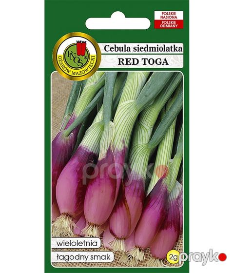 Tərəvəz toxumları Yeddibaş soğan 2Q - 5904232271106 — Bakı