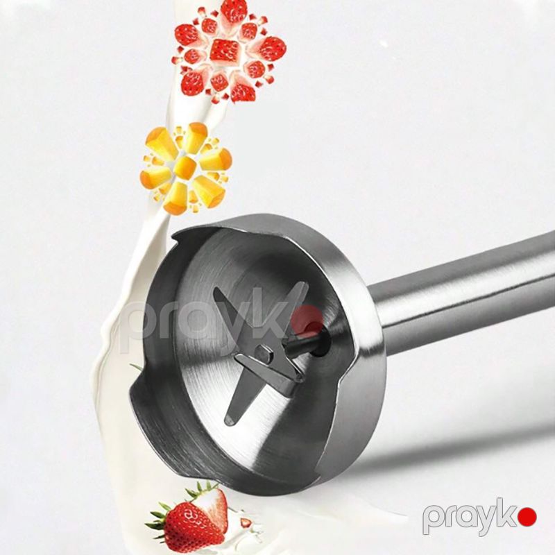 Yüksək Güclü RAF Polad Paslanmayan Əl Blenderi 800W Sürətli Kommersiya Smoothie Elektrik Blender R.303 — Blenderlər, xırdalayanlar və mikserlər, Bakı (3)