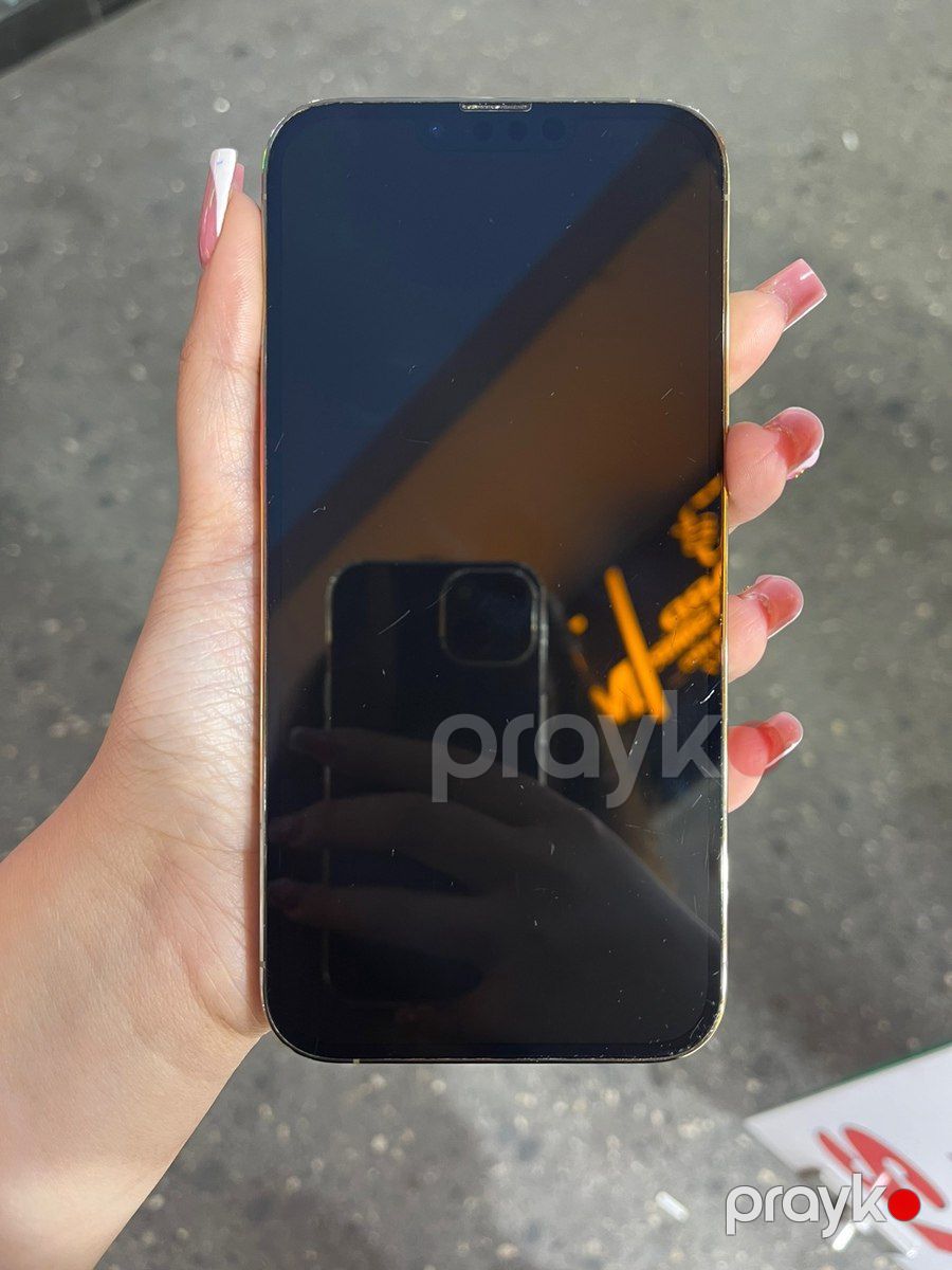 Apple iPhone 13 Pro Max Gold 256GB/6GB — Smartfonlar, Bakı (2)