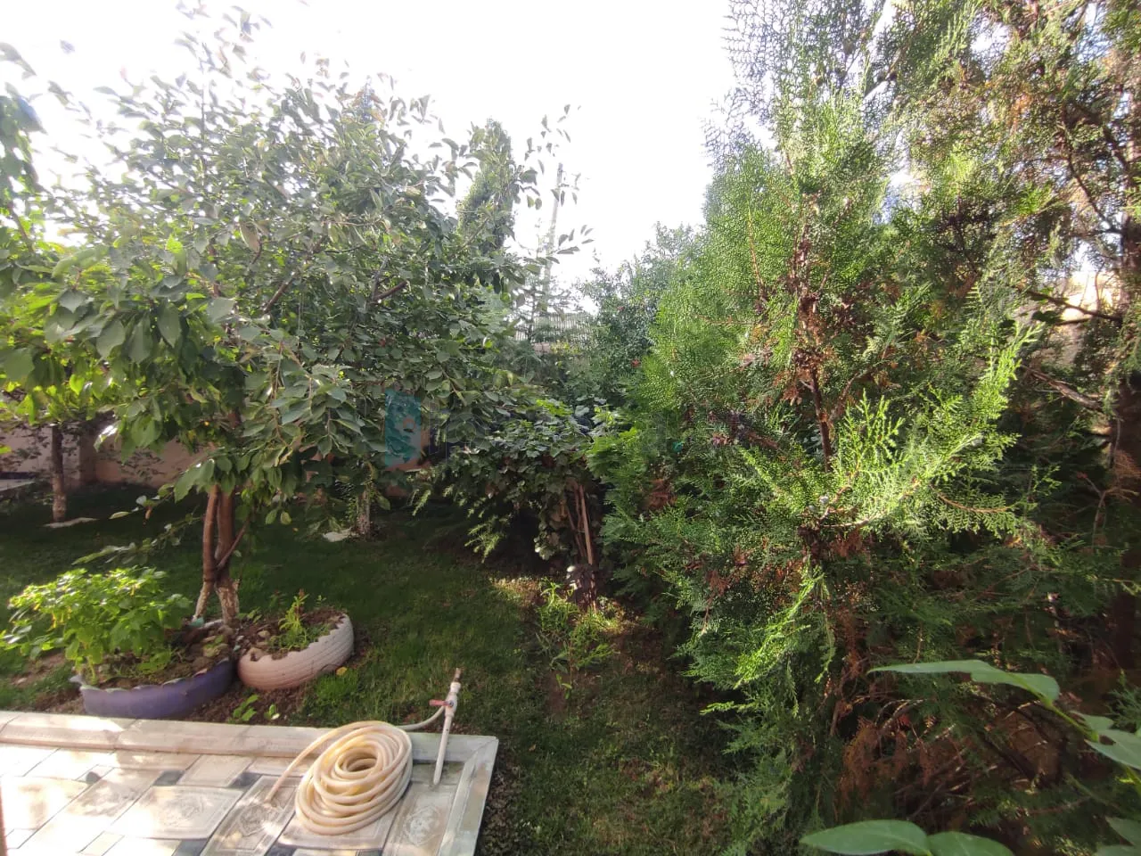 Satılır: 3 Otaq, Evlər/Villalar, Abşeron r., Saray q., 90.00 m² — Ev, villa, Abşeron (11)