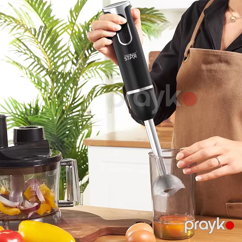 Wınnıng Star ST-5553 Çoxfunksiyalı Elektrikli Əl Blenderi 2 Sürətli Paslanmaz Polad Əl Blenderi — Blenderlər, xırdalayanlar və mikserlər, Bakı (3)
