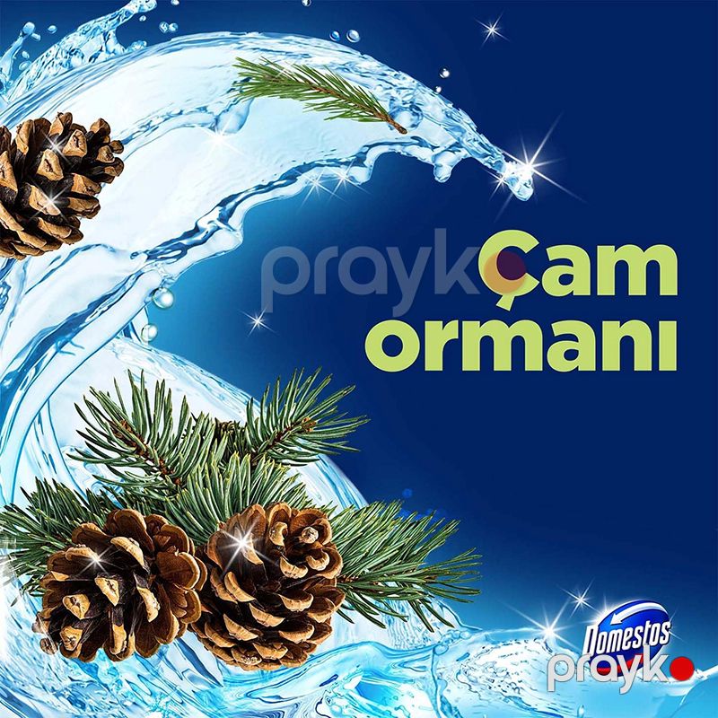 Domestos Wc Blok 50 Gr Cam Ferah Çam Ferahlığı Tuvalet Bloğu Domestos 5li Çam Ferahlığı Maksimum Hijyen — Mallar, Bakı (3)