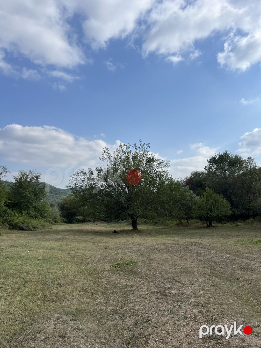 Satılır torpaq 10.5 sot — Torpaq, Şamaxı (11)