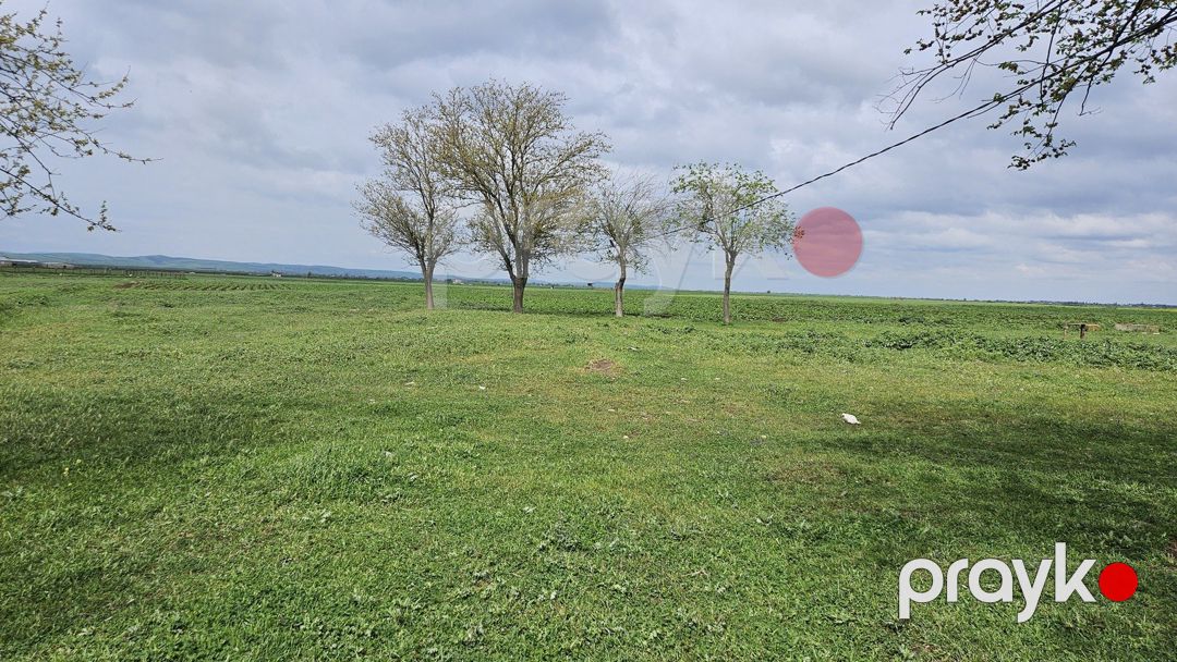 Satılır torpaq 58 sot — Torpaq, Cəlilabad (3)