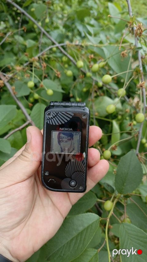 Nokia 7270 — Gəncə