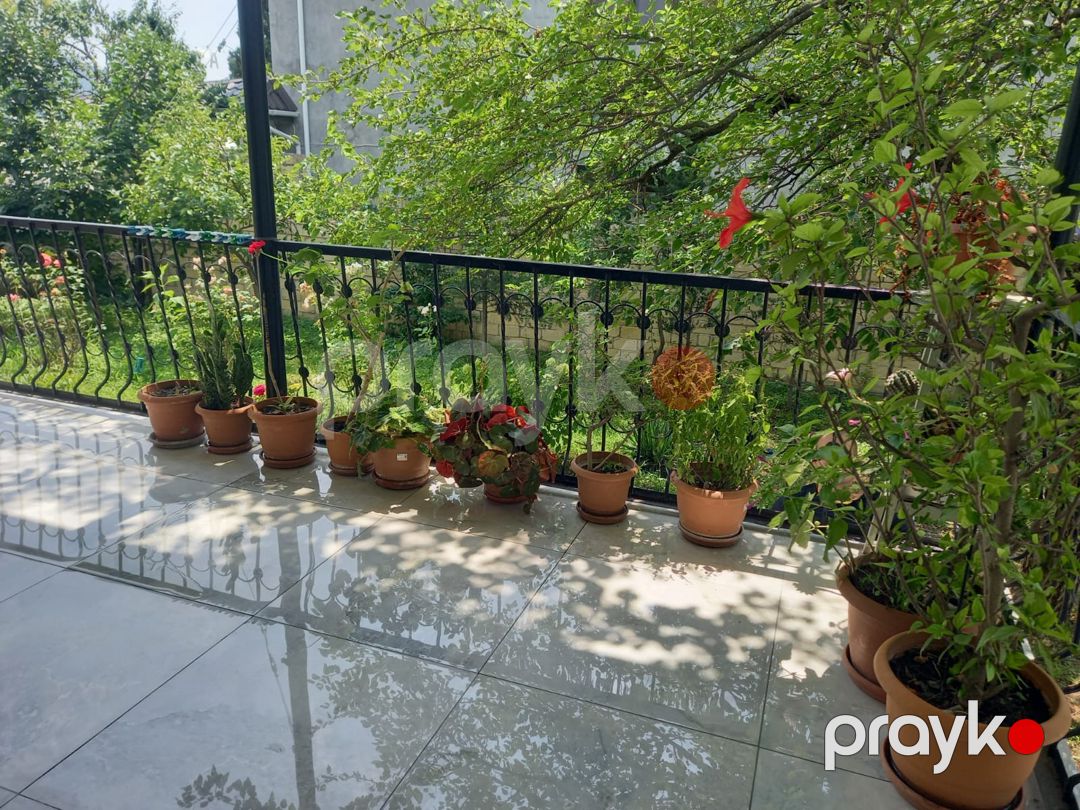 İcarə: Bağ, 120 m², Şəki Marxal yolu — Ev, villa (6)