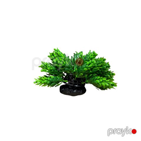 Akvarium üçün süni bitkilər AF11048 — Bakı