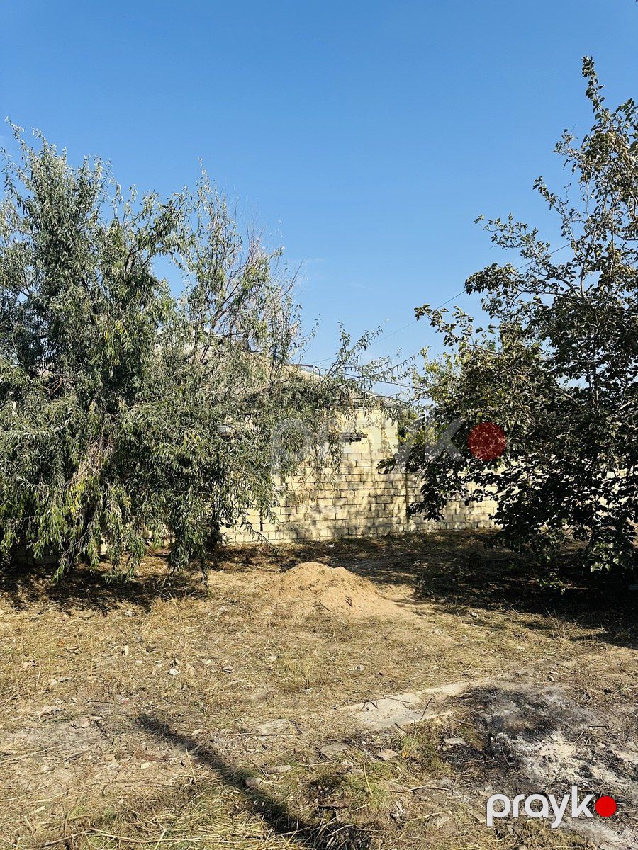 Satılır torpaq 4.2 sot — Torpaq, Bakı (6)