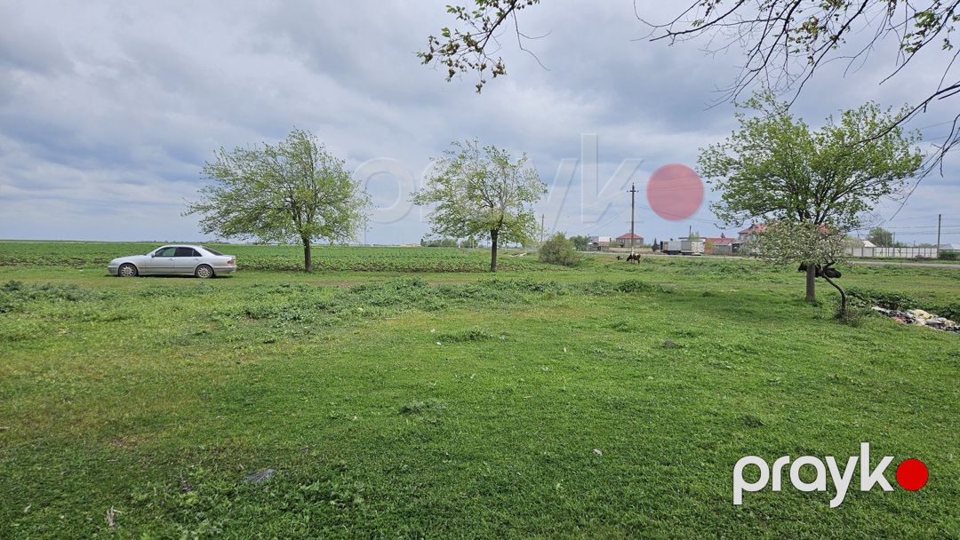 Satılır torpaq 58 sot — Torpaq, Cəlilabad (2)