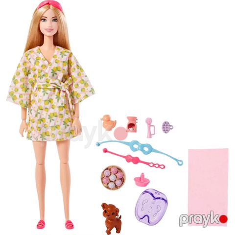 Kukla Barbie HKT90 Spa Günü — Bakı