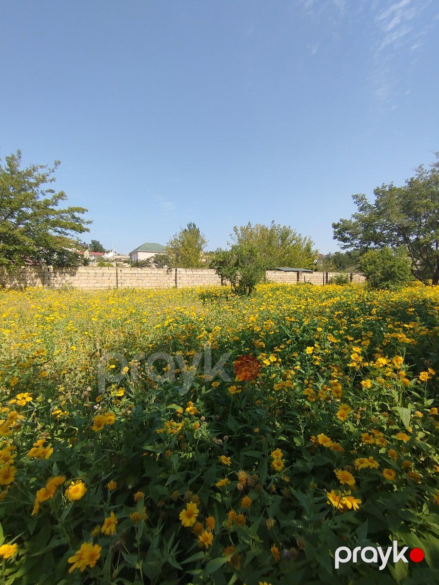 Satılır torpaq 10 sot — Torpaq, Bakı (4)