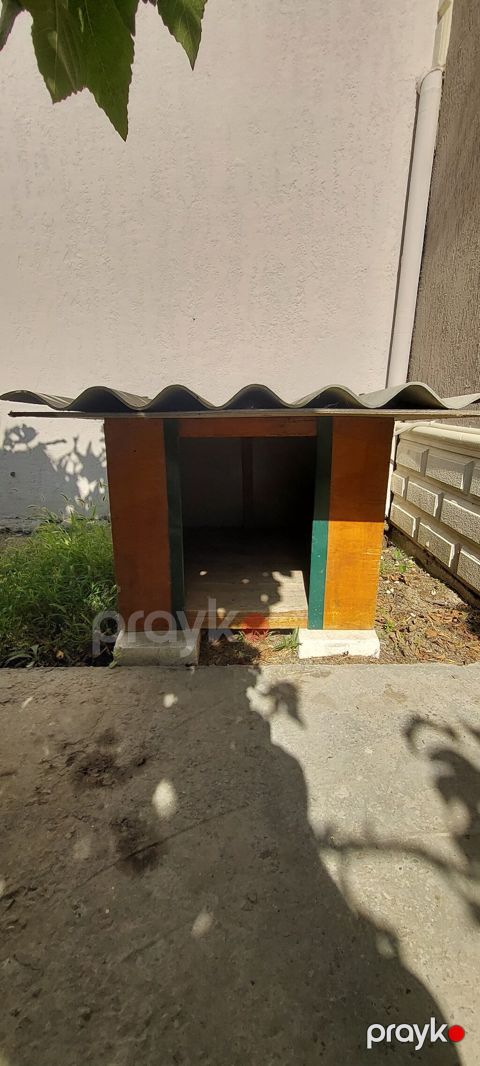 Taxta it evi - Material: möhkəm taxta korpus, yanları boyalı; üst — Bakı