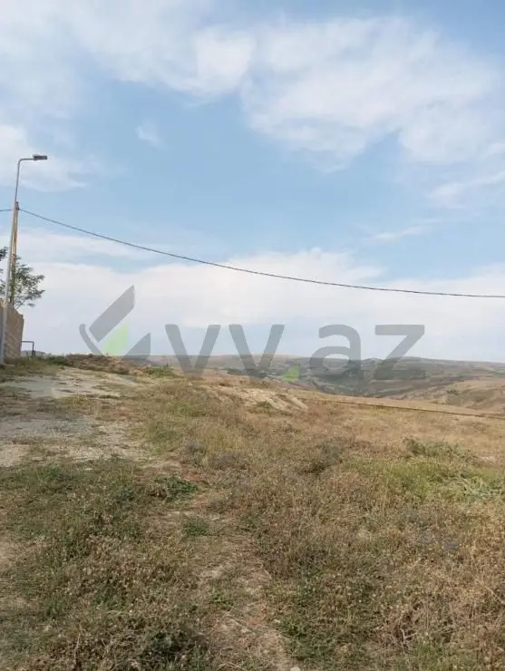 6 sot Torpaq Satılır, Şamaxı — Torpaq, Şamaxı (3)