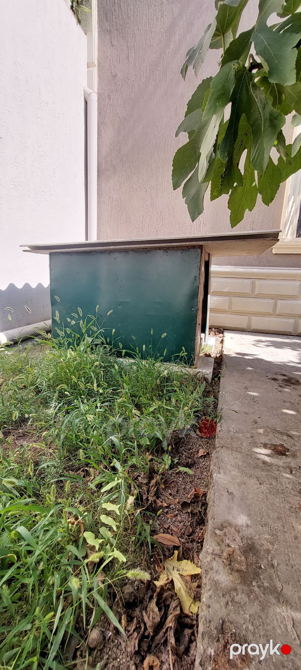 Taxta it evi - Material: möhkəm taxta korpus, yanları boyalı; üst — Kunalar, Bakı (2)