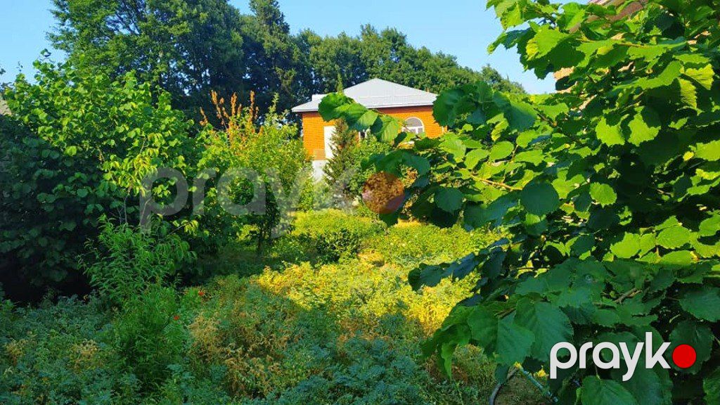Həyət evi kirayə verilir, Lənkəran ş — Ev, villa, Lənkəran (2)