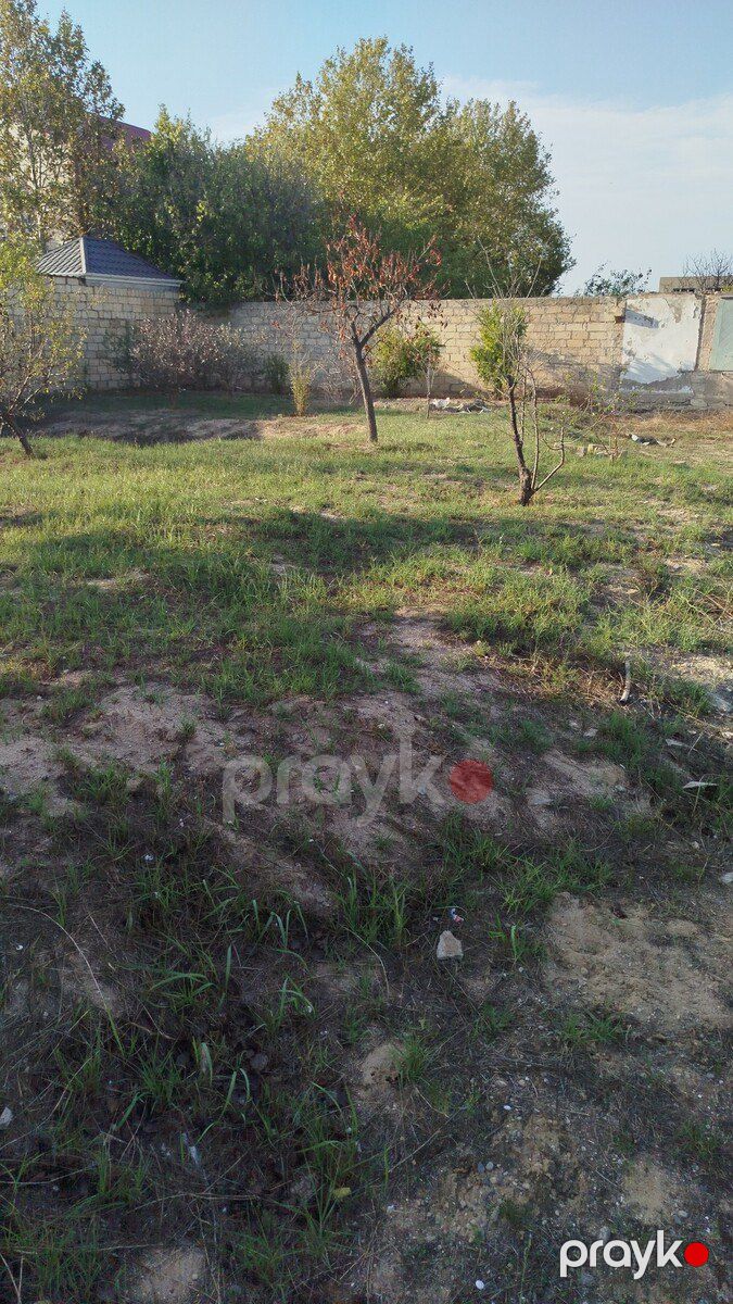 Satılır torpaq 2.8 sot — Torpaq, Bakı (5)