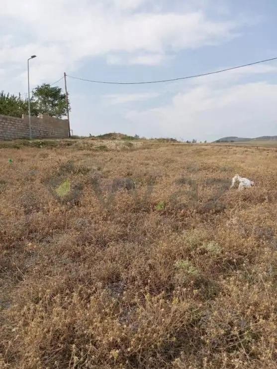 6 sot Torpaq Satılır, Şamaxı — Torpaq, Şamaxı (2)