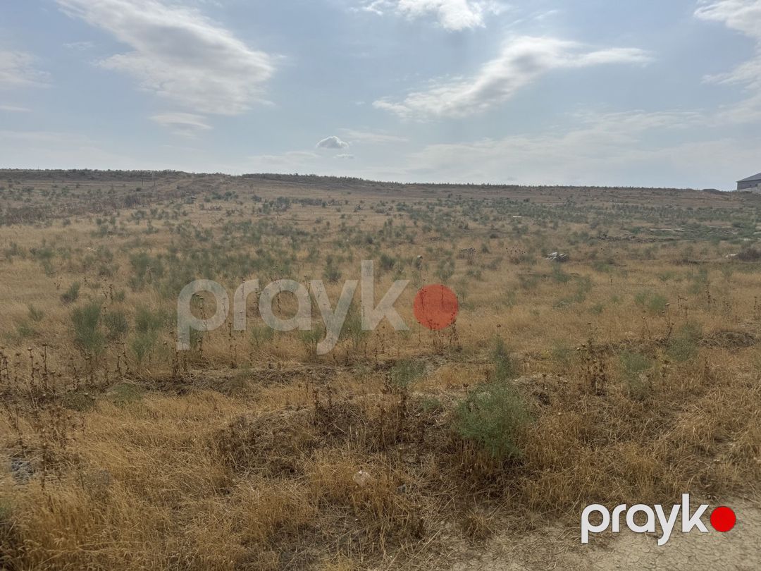 Satılır torpaq 98 sot — Torpaq, Bakı (4)