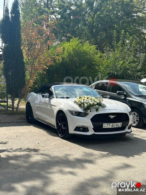 Ford Mustang Cabriolet, 2017 il — Minik avtomobili icarəsi, Bakı (6)