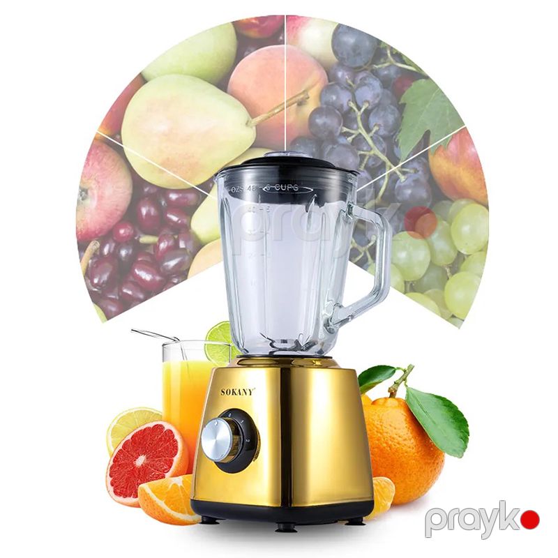 2-də 1 Arada Çoxfunksiyalı Elektrikli Şüşə Blender 500W Qida Prossesoru Yüksək Gücə Malik Şirəçəkən Maşın İki Dişli Qəhvə Dəyirmanı — Blenderlər, xırdalayanlar və mikserlər, Bakı (6)