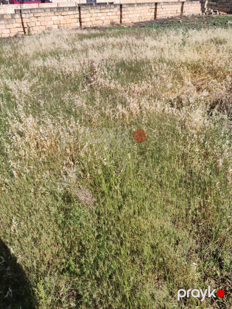 Satılır torpaq 5 sot — Torpaq, Bakı (2)