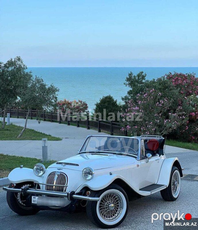 Jaguar jaguar kallista phantera callista, 1955 il — Minik avtomobili icarəsi, Bakı (5)