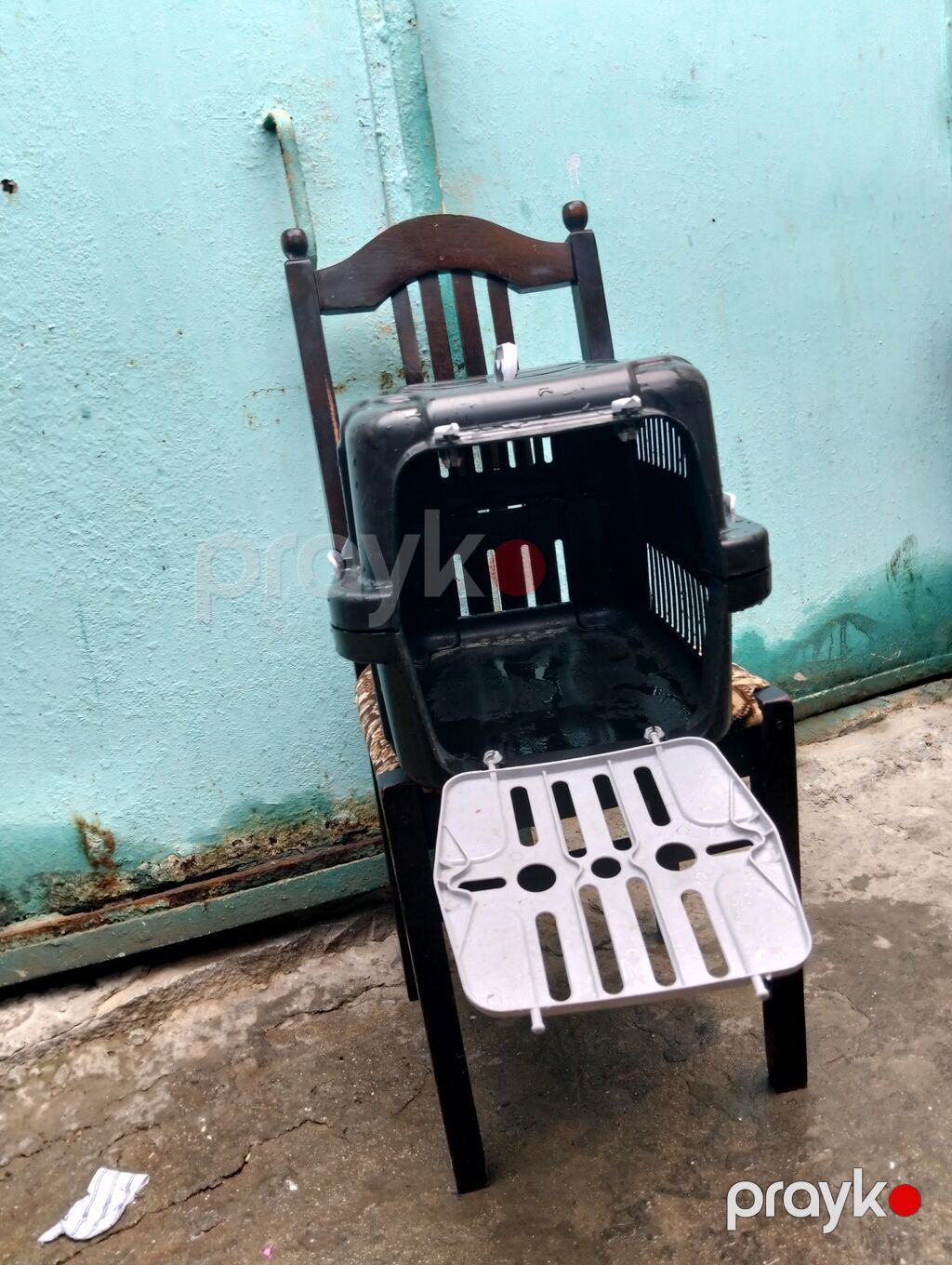 Ev heyvanı üçün daşıma konteyneri - Material: möhkəm plastik korpus — Daşıyıcılar və çantalar, Bakı (3)
