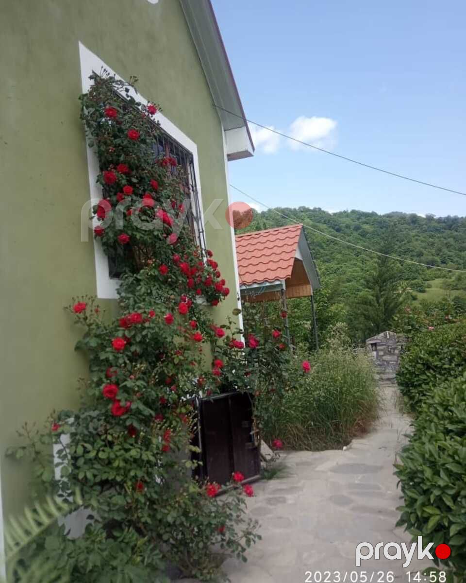 Həyət evi kirayə verilir, İsmayıllı r — Ev, villa, İsmayıllı (5)