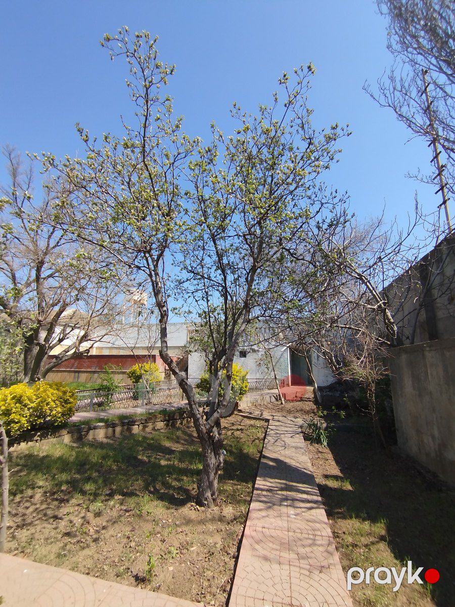 Satılır 9 otaqlı həyət evi/bağ evi 150 m² — Ev, villa, Bakı (5)