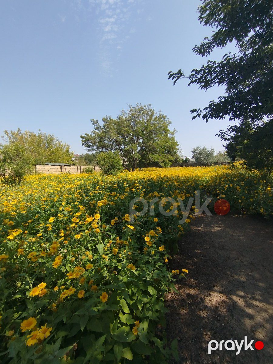 Satılır torpaq 10 sot — Torpaq, Bakı (3)