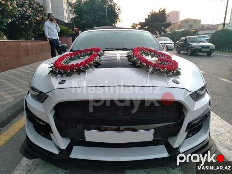 Mustang Coupe 2022 — Minik avtomobili icarəsi, Bakı (4)